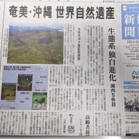 5月11日の毎日新聞　奄美沖縄の世界自然遺産IUCN勧告をトップで報じている。