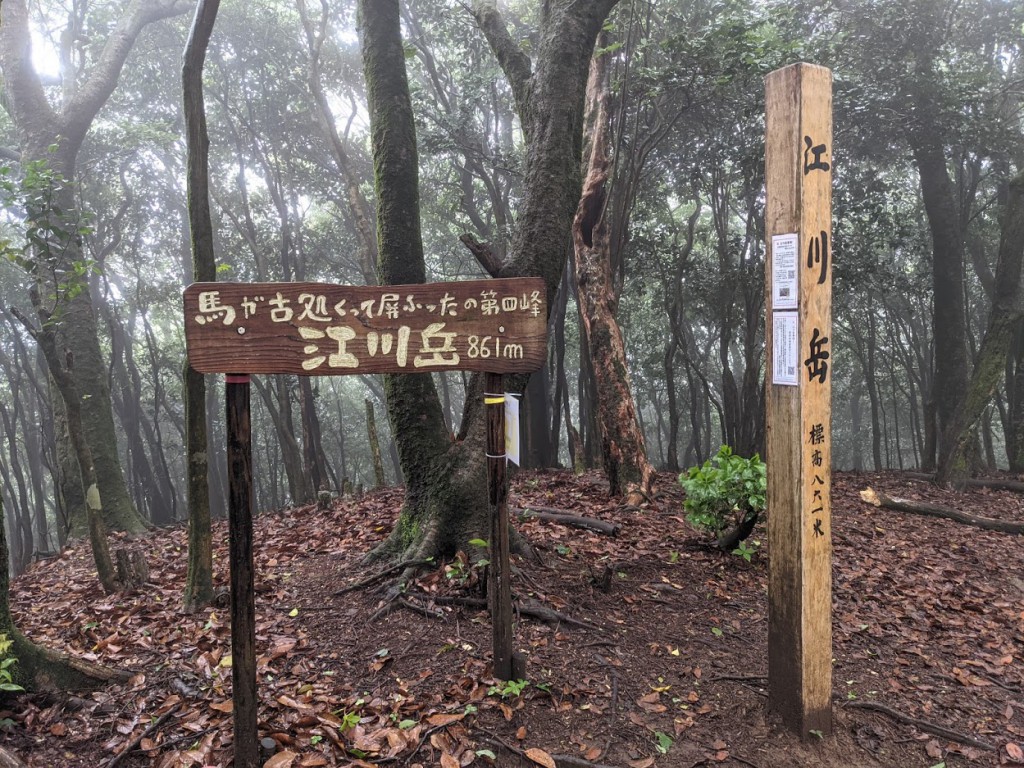江川岳山頂の山頂標識はとてもユニーク