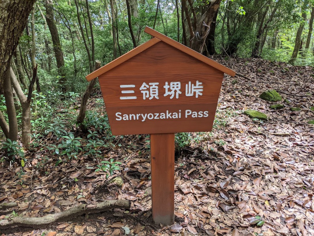 山と高原地図には三国峠とあるが現地の新しいサインは三領堺峠となっている。この付近に山野草が多い。