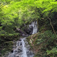 清賀の滝と生命感に満ち満ちたみどり