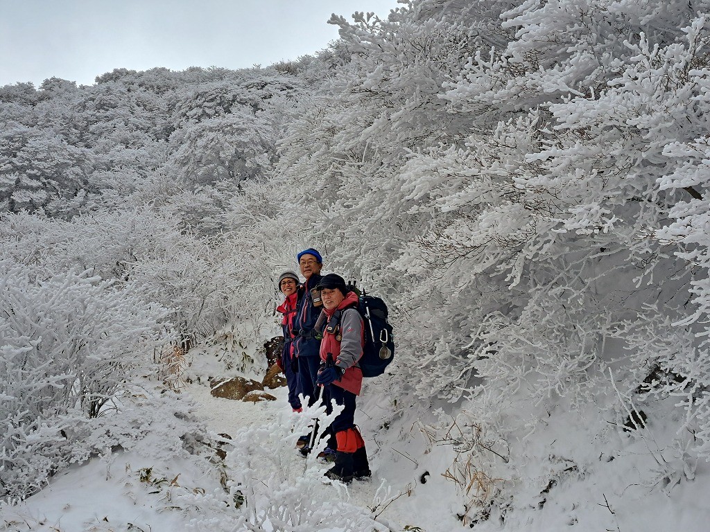 樹氷が美しい登山道