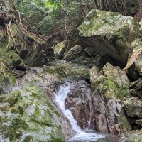 浅いゴルジュが現れると小爪沢の真骨頂です。