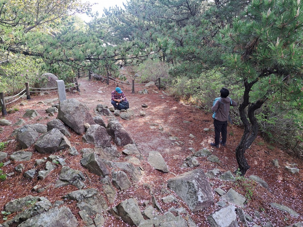 厳光山山頂