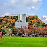 紅葉するアクロス山。中央公園の芝生は晩秋でも青々としている。この日はクリスマスマーケットが開催されていた。