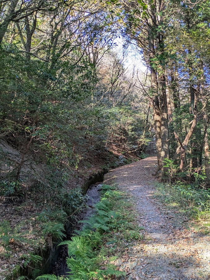 秋の蛤水道、登山道は水路沿いを緩やかに歩く。落水の音が森に響いて心地が良い。