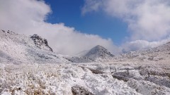 くじゅう星生崎手前よ久住山を望む、この日は霧氷の花が良く咲いていました。冬の山も気持ちが良い。