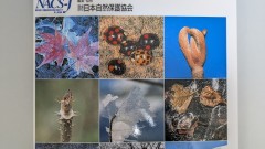 九州ではなかなか雪山に登る機会が少ないが、独特の自然を感じることも大切ですね。