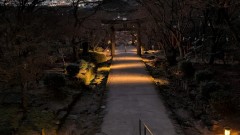 ■今日の一枚：夕焼けとライトアップが共鳴しているようでとても印象的でした。