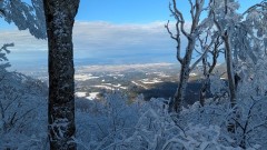 ■今日の一枚：大山の尾根道から弓ヶ浜が見えた。今年も見通しの良い年であってほしい