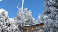 ■今日の一枚：積雪と鳥居を背景に英彦山ブルーの青空が広がった。コントラストがとてもきれいだ。