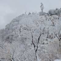 ■今日の一枚：中岳が地下ずくに連れて白銀の世界になっていった。気温は低いのだが寒くはない。霧氷の樹林帯の中は幻想的な雰囲気に包まれる。