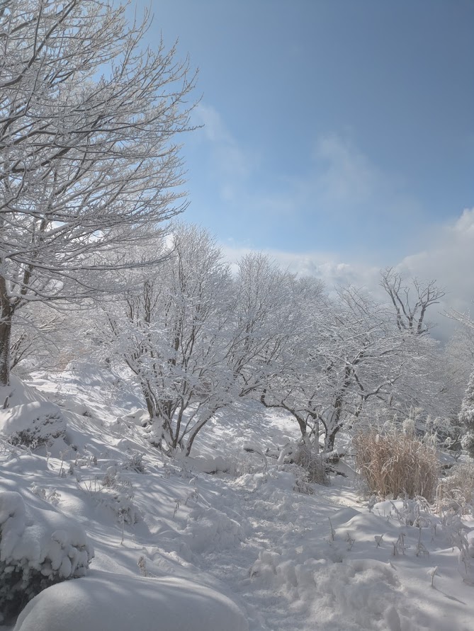 ■今日の一枚:空が開けて光が充満した。霧氷の花は輝きを放って失言してくれた。冬山の醍醐味なのかもしれない。