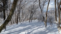 ■今日の一枚：英彦山北西尾根、前日の夜からの積雪と寒気で一面の雪世界でした。