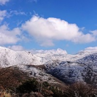 ■今日の一枚：霧氷花咲くのくじゅう、寒気が流れ込むと一気に雪化粧になる。