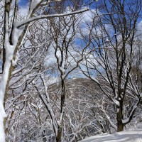 ■今日の一枚：脊振の縦走路の雪。縦走路も目まぐるしく天候が変わるが青空を見るとホッとする。
